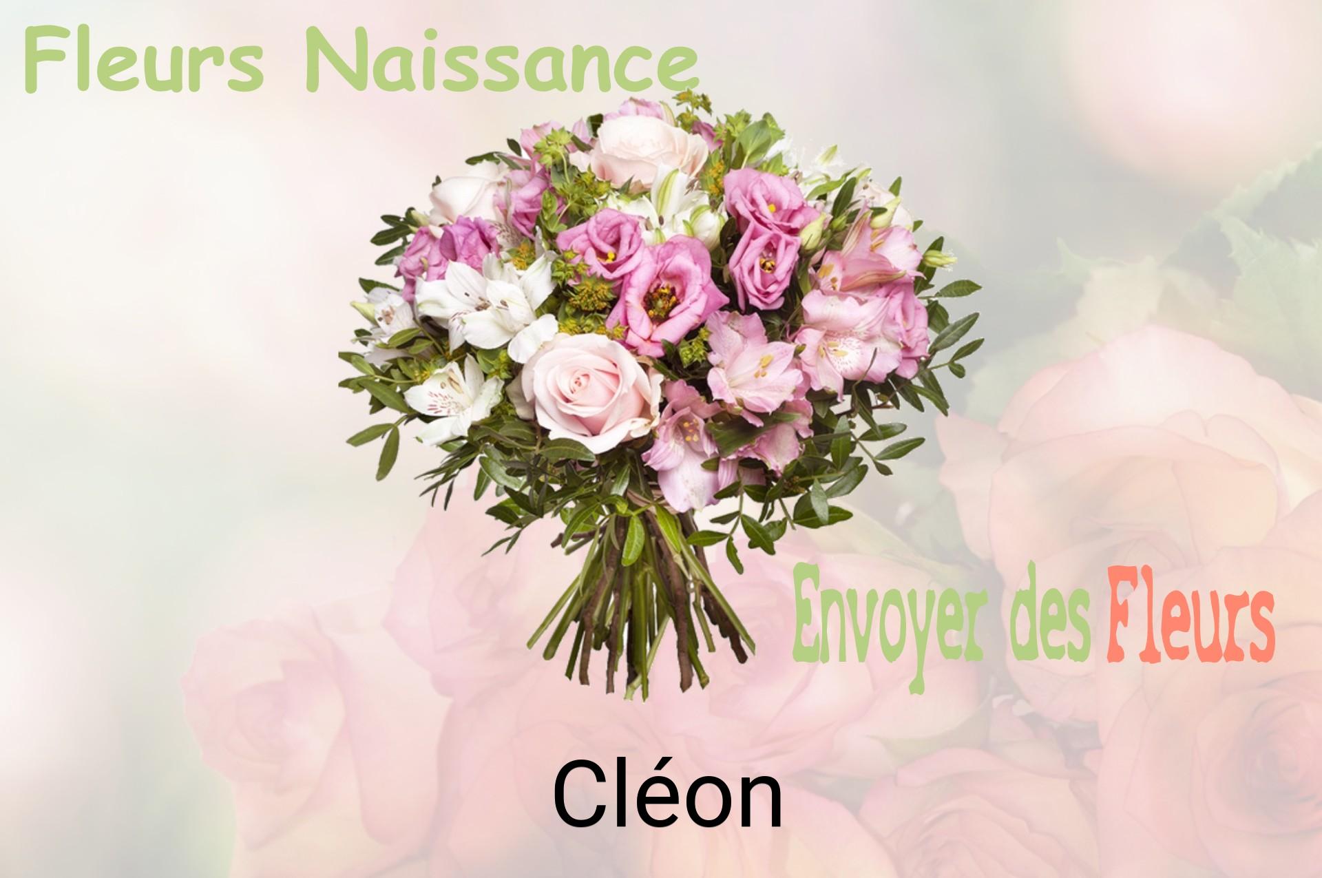 Bouquet de fleurs de naissance livré à Cléon