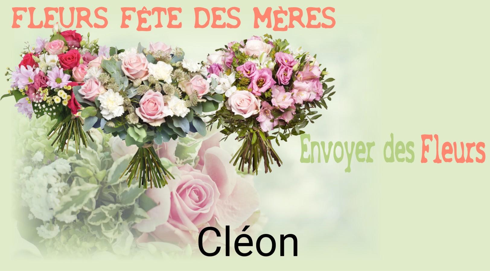 Bouquet de Fête des Mères livré à Cléon